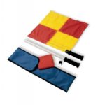 Juego 2 banderines linier