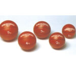 Balon Medicinal Clasico con Bote