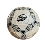 Futbol Sala Pro Plou