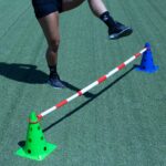 Pica Extensible - Imagen 2