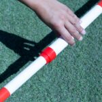 Pica Extensible - Imagen 4