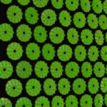 Set Acupresión - Imagen 2