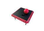 Boardball